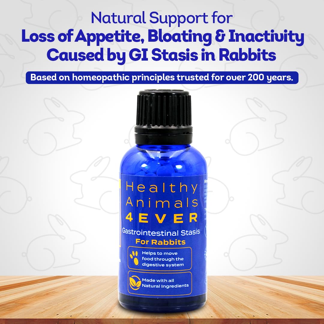 HA4E - Rabbit Gastrointestinal Stasis Treatment - Promotes Healthy Digestion & GI Stasis Relief -Natural Homeopathic Digestive Health Tablets - 300 Count