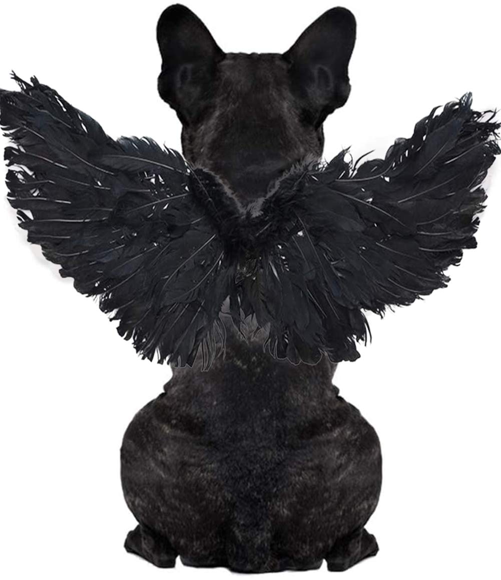 WeeH Pet Halloween Costume Cosplay Angel Devil Black White Wing for Dog Cat Rabbit Piggy - Funny Gift at Halloween Party Anime Theme Birthday Christmas (Black, Large)