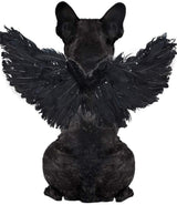 WeeH Pet Halloween Costume Cosplay Angel Devil Black White Wing for Dog Cat Rabbit Piggy - Funny Gift at Halloween Party Anime Theme Birthday Christmas (Black, Large)