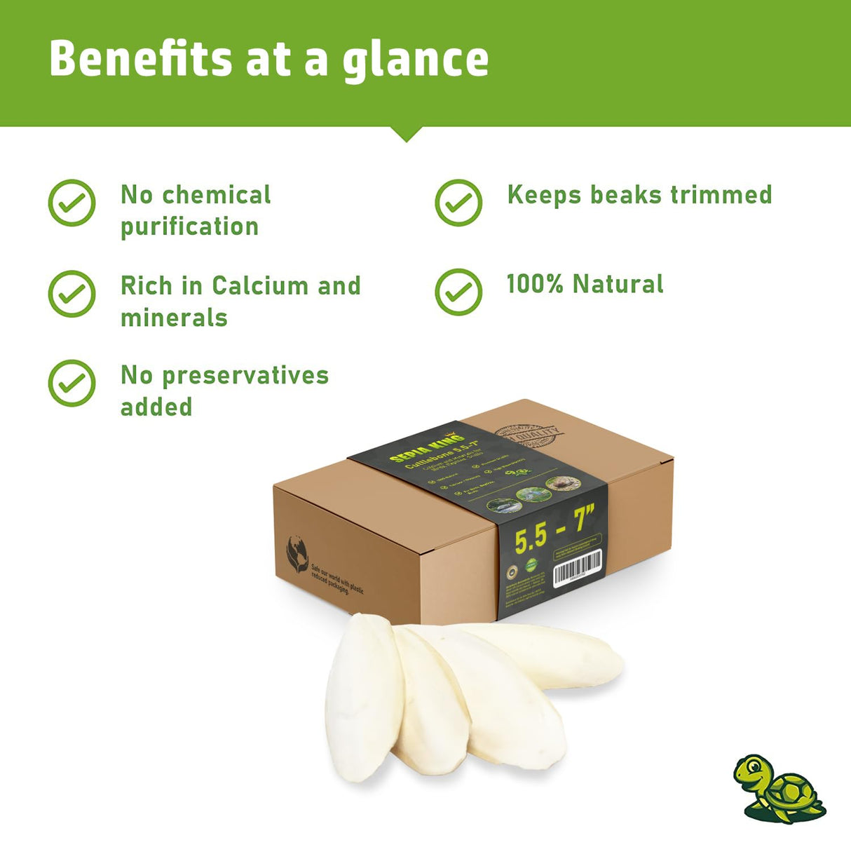 Sepia King - Large - 100% Natural Calcium Supplement - Premium Cuttlebone perfect for Birds, Tortoises, Snails, Reptiles - 5.5 to 7 inch