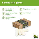 Sepia King - Large - 100% Natural Calcium Supplement - Premium Cuttlebone perfect for Birds, Tortoises, Snails, Reptiles - 5.5 to 7 inch