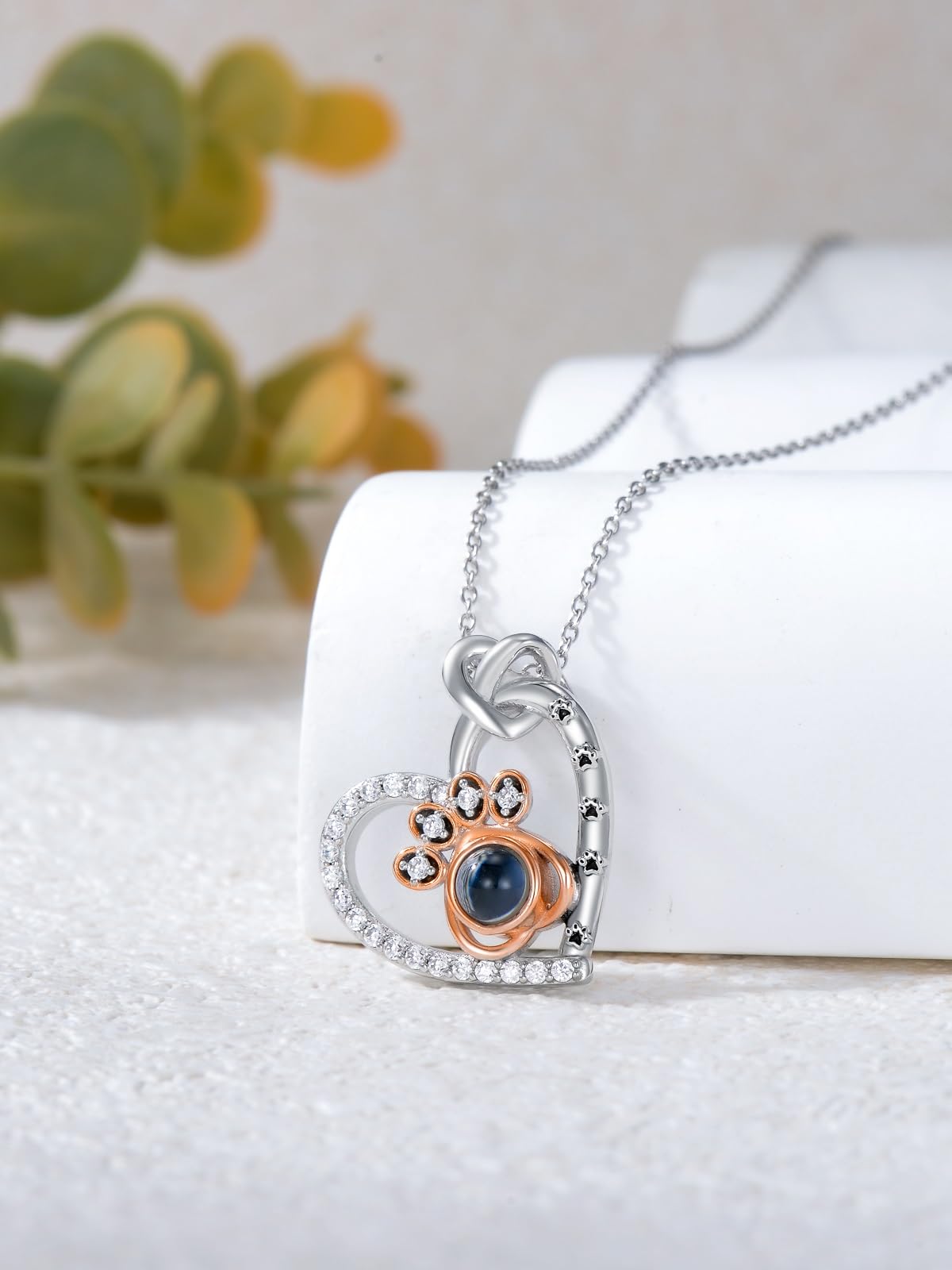 Dorunmo Personalized Photo Necklace Dog Cat Pet Picture 925 Sterling Silver Projection Pendant Gifts Paw Print Necklace for Dog Cat Pet Memorial for Women Lover