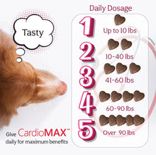 Load image into Gallery viewer, Heart Support Supplement for Dogs-Vet-Formulated, Antioxidant-Rich-L-Taurine, L-Carnitine,EPA,DHA,CoQ10-Aids Circulatory Strength, Cardiovascular Support, Heart Muscle Function-USA Made-60 Soft Chews

