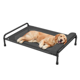 Simple Trending Elevated Dog Bed for Large Dogs, Cooling Raised Pet Cot with Bolster, Breathable Outdoor Couch Bed, 44.5" x 31", Black