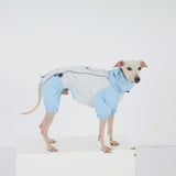 Dachshund Dog Raincoat with Legs, Waterproof Full Body Jacket, Hooded Outdoor Windbreaker for Small & Medium Dogs, Mini Dachshund Puppy Coat (Medium (13-17 lbs))