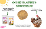 Vital Nutrients: Chicken Vitamins for Feed & Molting Supplement, Egg Booster, Poultry & Chicken Vitamins - Pampered Chicken Mama (5 pounds)