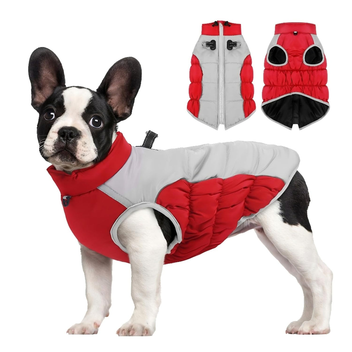 Hey Point Warm Dog Winter Coat Waterproof Dog Jacket Windproof Pet Clothes Reflective Cat Vest Puppy Clothes Kitten Clothing for Small Medium Large Doggie (Red, 2XL)