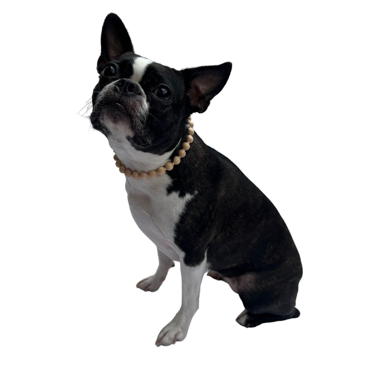 Wood Bead Pet Necklace Accessories for Dogs or Cats (Medium)