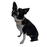 Wood Bead Pet Necklace Accessories for Dogs or Cats (Medium)