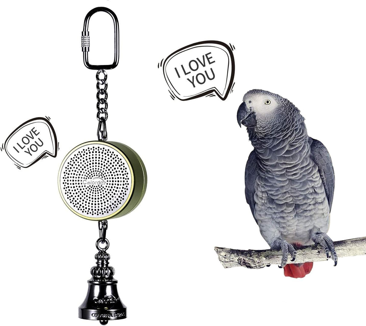 Colorday Bird Toys Parrot Talking Coach & Interactive Voice Bell for Parakeet, African Grey, Amazon Parrots, Quaker, Cockatiel, Conure (Green)