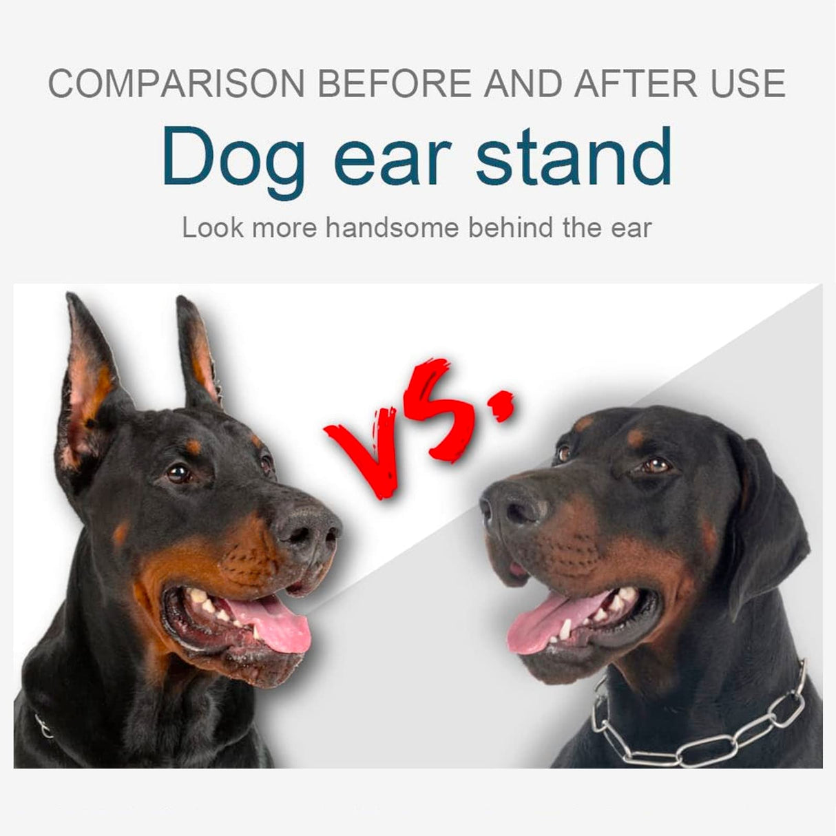 ziyue Doberman Dog Ear Posting Kit, Dog Ear Stand Up Support Tool, Dogs Ears Tap for Doberman Pinscher