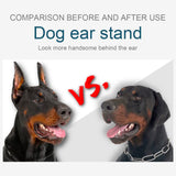 ziyue Doberman Dog Ear Posting Kit, Dog Ear Stand Up Support Tool, Dogs Ears Tap for Doberman Pinscher