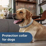 UDyoude Flea Collar for Dogs, Tick and Fleas Collar for Large Dog, Adjustable Dog Tick Collars for Medium & Large Breeds, Sturdy with 8 Months Protection-Pack of 2