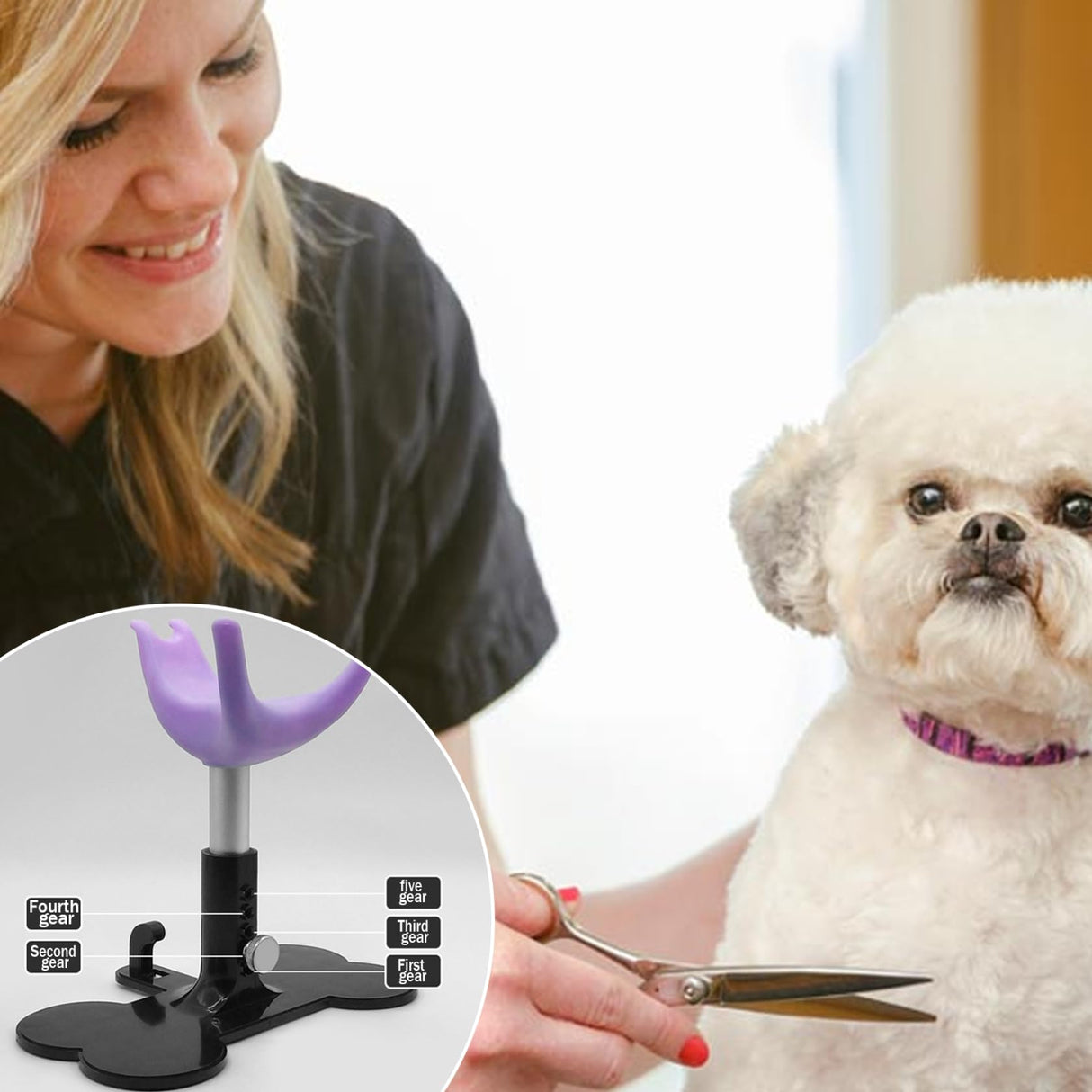Nyutcwe Dog Grooming Stand 5.7"-7.3" Adjustable Dog Stand for Grooming Keeps Pet Standing Up for Bathing Trimming, Purple
