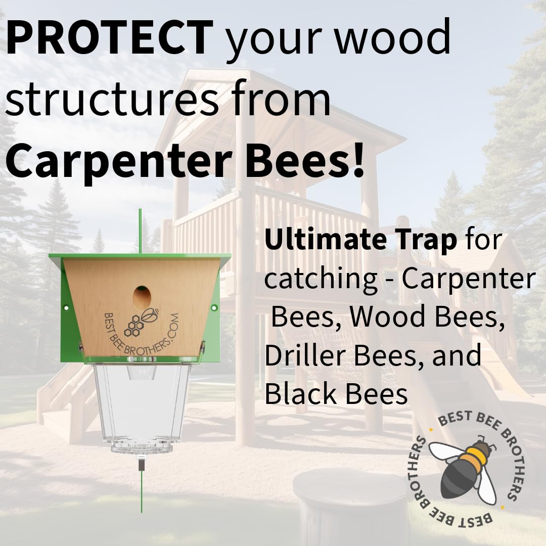 Best Bee Brothers Ultimate Carpenter Bee Trap for Outside with Large, Clear External Receptacle, Internal Bee Vault & Spring-Loaded Door, 5.75" L x 6" W x 4.5" H