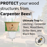 Best Bee Brothers Ultimate Carpenter Bee Trap for Outside with Large, Clear External Receptacle, Internal Bee Vault & Spring-Loaded Door, 5.75" L x 6" W x 4.5" H