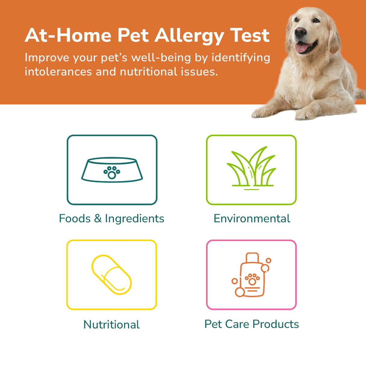 TotalVet Dog Allergy +1000 Food & Nutritional Sensitivity Test, Pet Intolerance Kit at Home — Advanced Complement to DNA Tests for Complete Pet Wellness