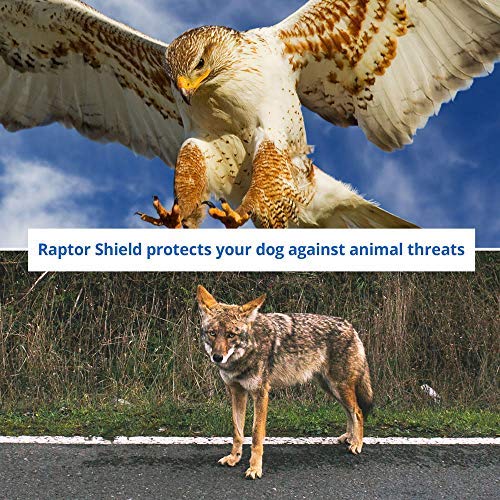 Raptor Shield Puncture Resistant Pet Vest for Small Dogs — Talon-Proof Protection Against Attacks by Coyotes, HawksBirds of Prey, Made in The USA, Four Sizes — Medium, 7-11.5 lbs, Chest 13.5 to 17"