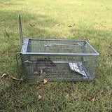 Kensizer 2-Pack Animal Humane Live Cage Trap That Work for Rat Mouse Chipmunk Mice Voles Hamsters and Other Small Rodents, Trampa para Ratones, Catch and Release