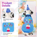 GreenJoy Dog Birthday Party Outfit Decoration Set Supplies - Birthday Bandana, Sweater & Party Hat Gift for Small, Medium & Extra Large Dogs Girl and Boy (Small, Birthday Blue)