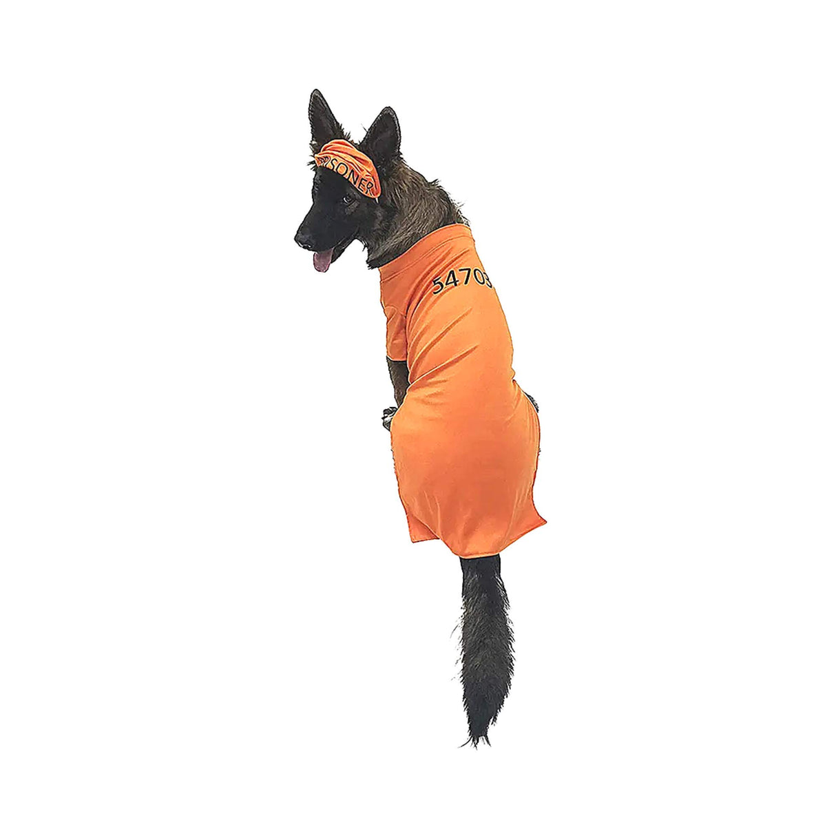 Midlee Orange Halloween Costume (XXX-Large)