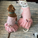 The Josefina - Mauve, Blush & Ivory Wedding Dog Dress | Pink Dog Flower Girl Dress XS-5XL (18-24 lbs)