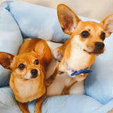 Blueberry Pet Fully Removable Washable Dog Bed, Heavy Duty Pet Bed w/Durable YKK Zippers, 25" x 21" x 10", 6 Lbs, Baby Blue & Beige Color-Block Beds for Cats & Dogs