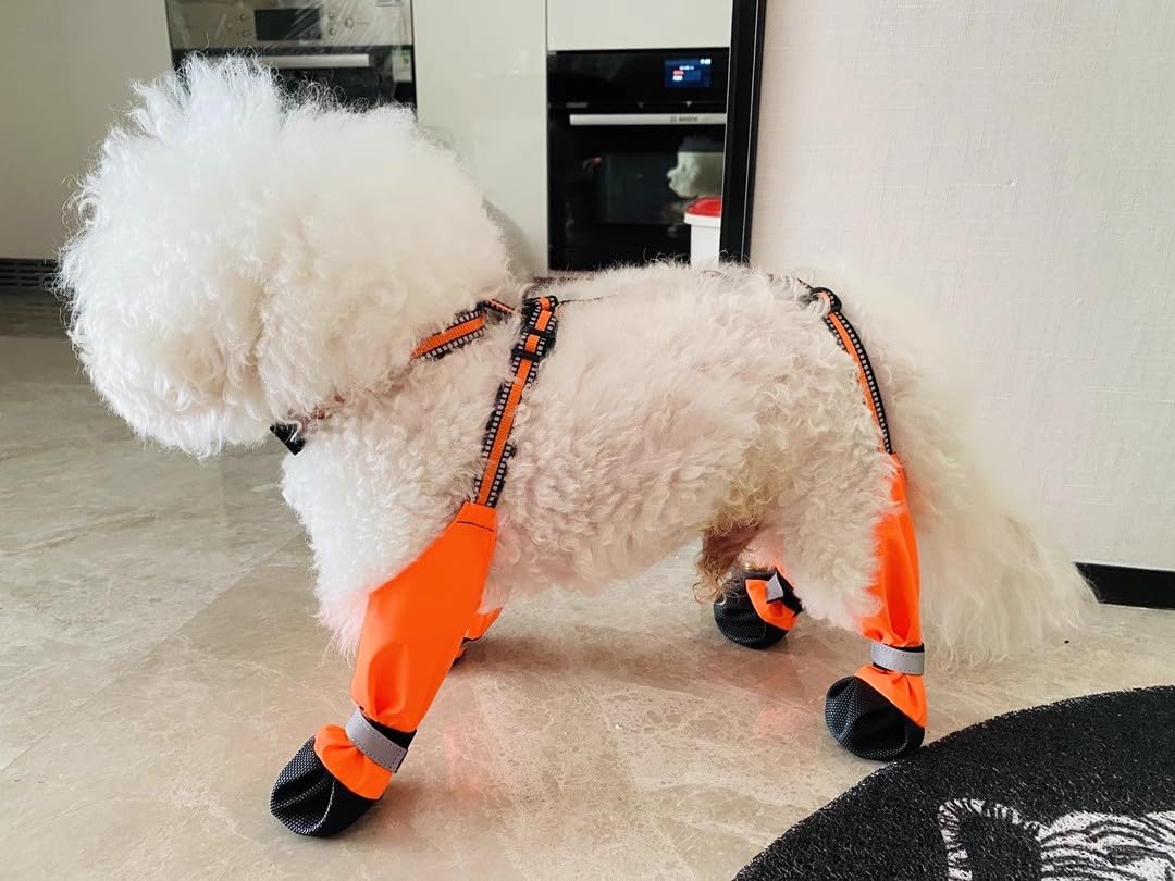 Adjustable Dog Suspender Boots with Attached Waterproof Paw Protectors, Non-Slip Summer Hiking Shoes for Rainy Days and Night Safety with Reflective Design (Orange, XS)