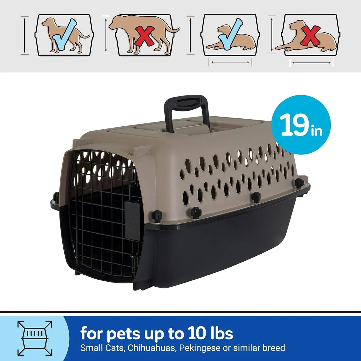 Hard-Sided Pet Travel Carrier (19" L×12.3" W×10.8" H) - Black & Grey, Metal Door, Durable Kennel for Dogs up to 10 lbs, Portable for Trips & Home Use