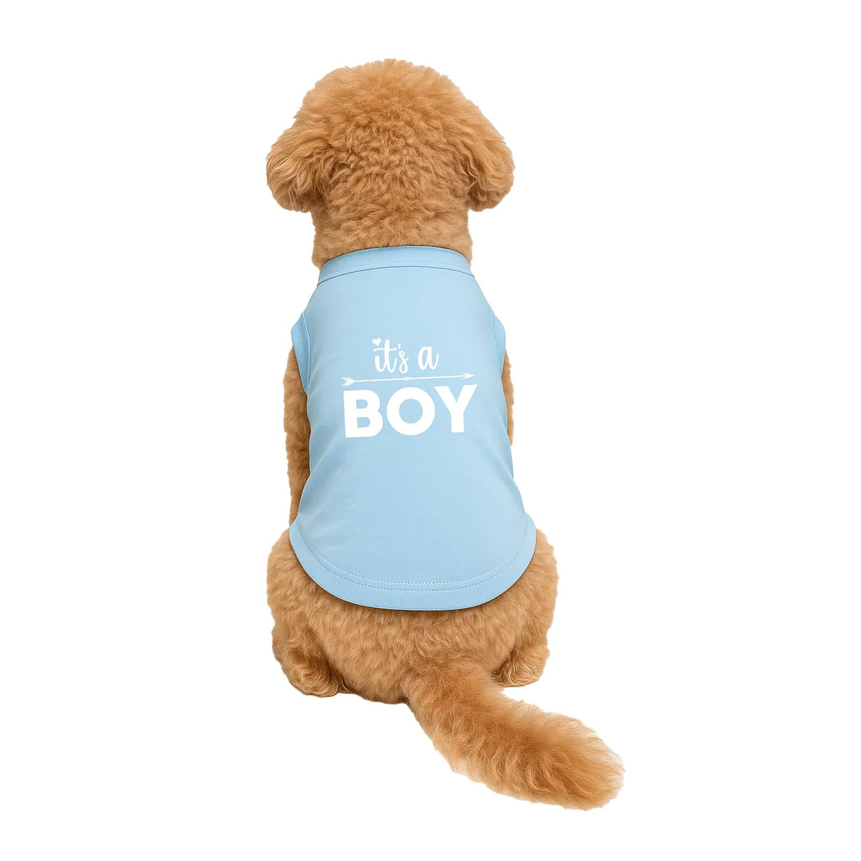 It's A Boy Dog Tee Shirt | Sleeveless Breeds | Gender Reveal | Baby Announcement | Boy or Girl |Light Blue, 3X-Large 422