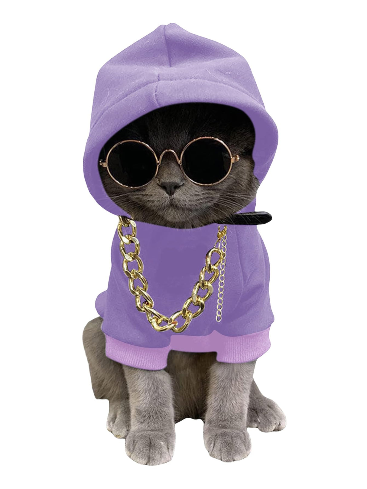 QWINEE 3Pcs Dog Hoodie Cat Apparel Dog Custume Set with Necklace and Sunglasses Pet Clothes for Puppy Small Medium Dogs Cats Mauve Purple Small