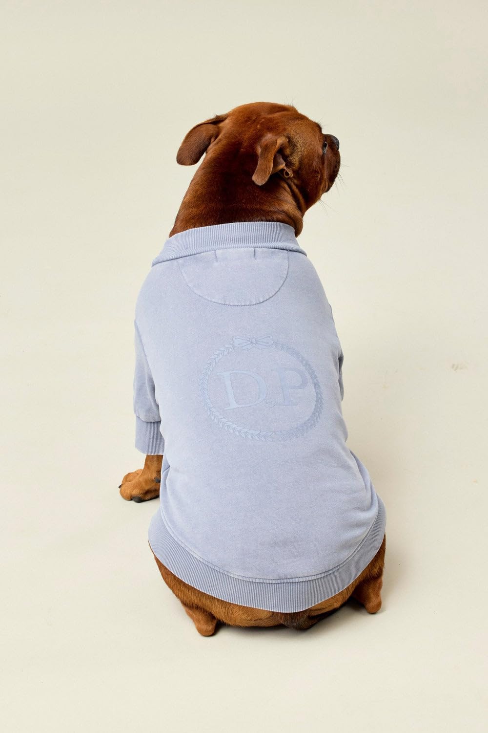 Darren & Phillip BFF Dog Sweatshirt | Slate – 100% Cotton French Terry, Soft & Breathable Pullover for Dogs, Stylish & Comfortable Pet Sweater, Matches Darren & Phillip Human Sweatshirt Loungewear