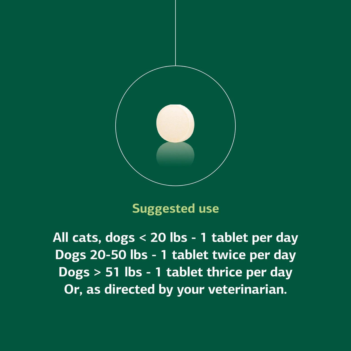 Standard Process Inc. VF Antronex for Pets - Feline & Canine Hepatic Support Formula - Healthy Liver Supplement for Cats & Dogs - Antronex Supplement to Support Healthy Immune System - 90 Tablets
