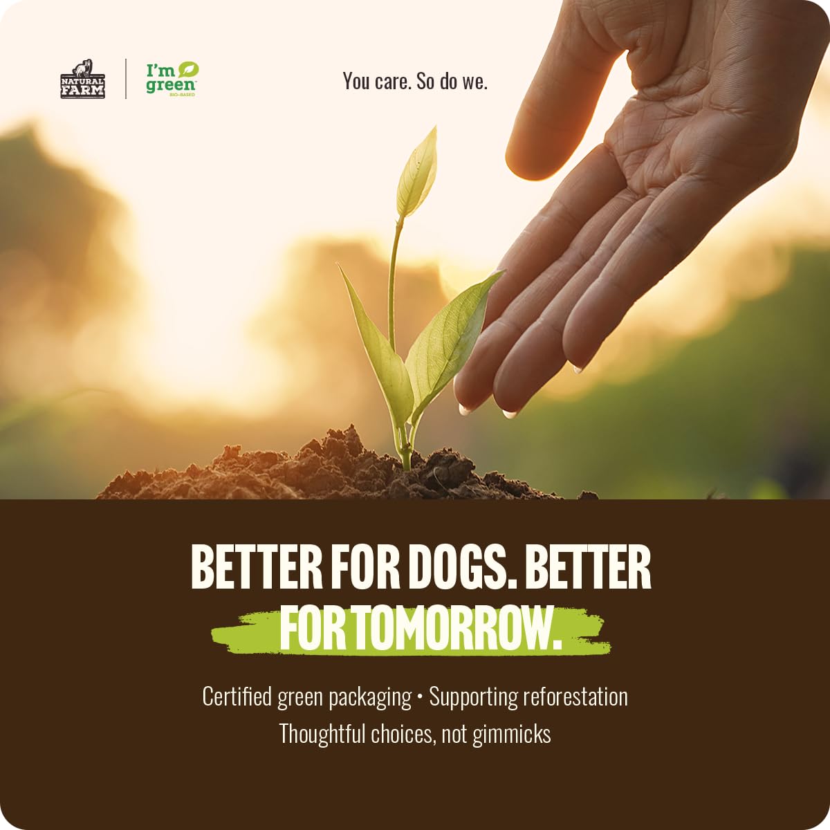 Natural Farm Odor Free Bully Sticks (4 Inch, 10 Pack) for Small & Medium Dogs - 100% Beef Chews for Pups, Non-GMO, Grain-Free, Fully Digestible Long Lasting Dog Treats