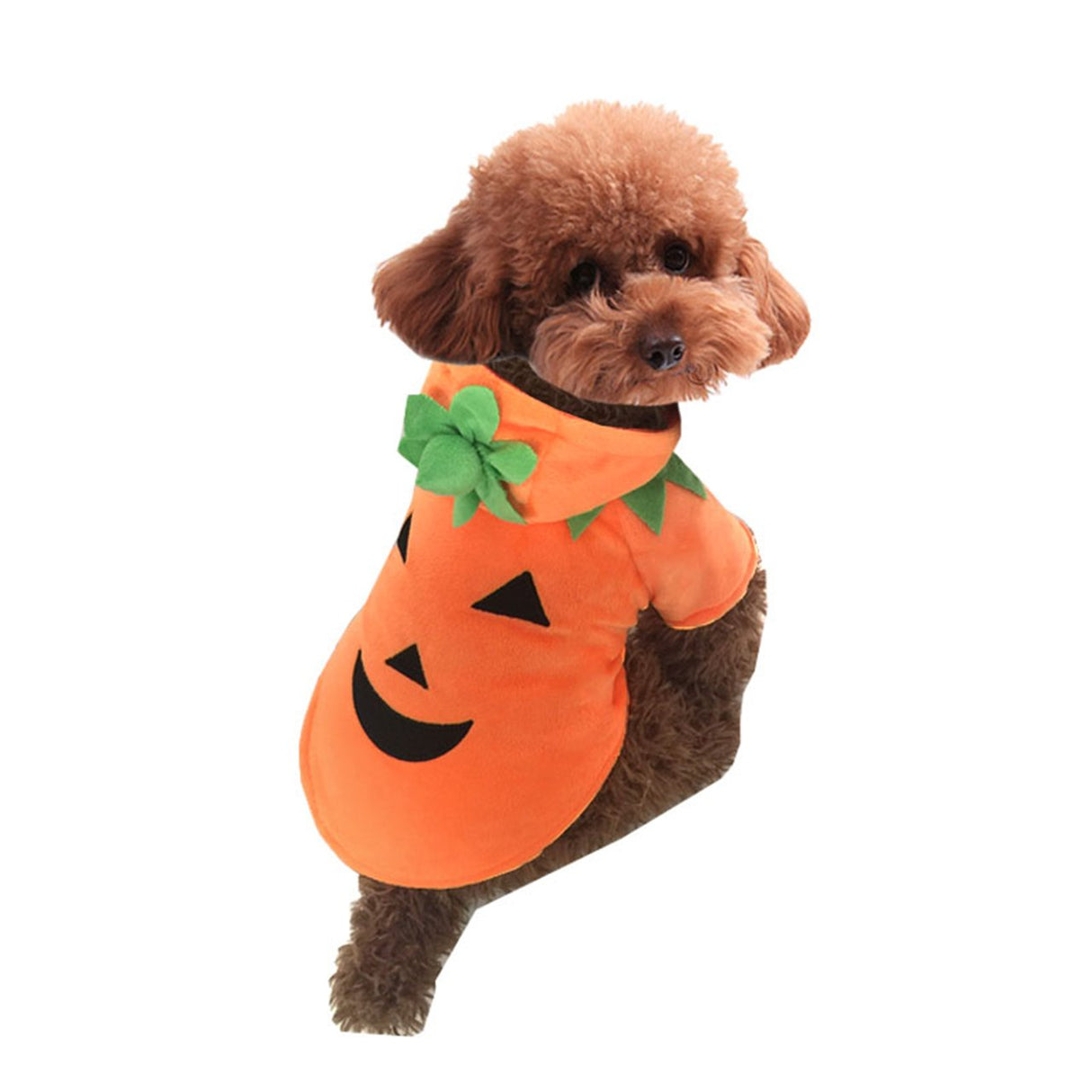 Mogoko Dog Cat Halloween Pumpkin Costume,Pet Cosplay Costumes,Puppy Warm Outfits Fleece Hoodie Animal Autumn Winter Clothes (M Size)