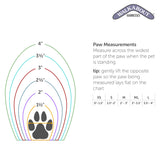 WALKABOUT™ Toe'sUP No Knuckling Boot Brace for Dogs Dragging Paws | Corrective Dog Shoes to Safely Lift Toes