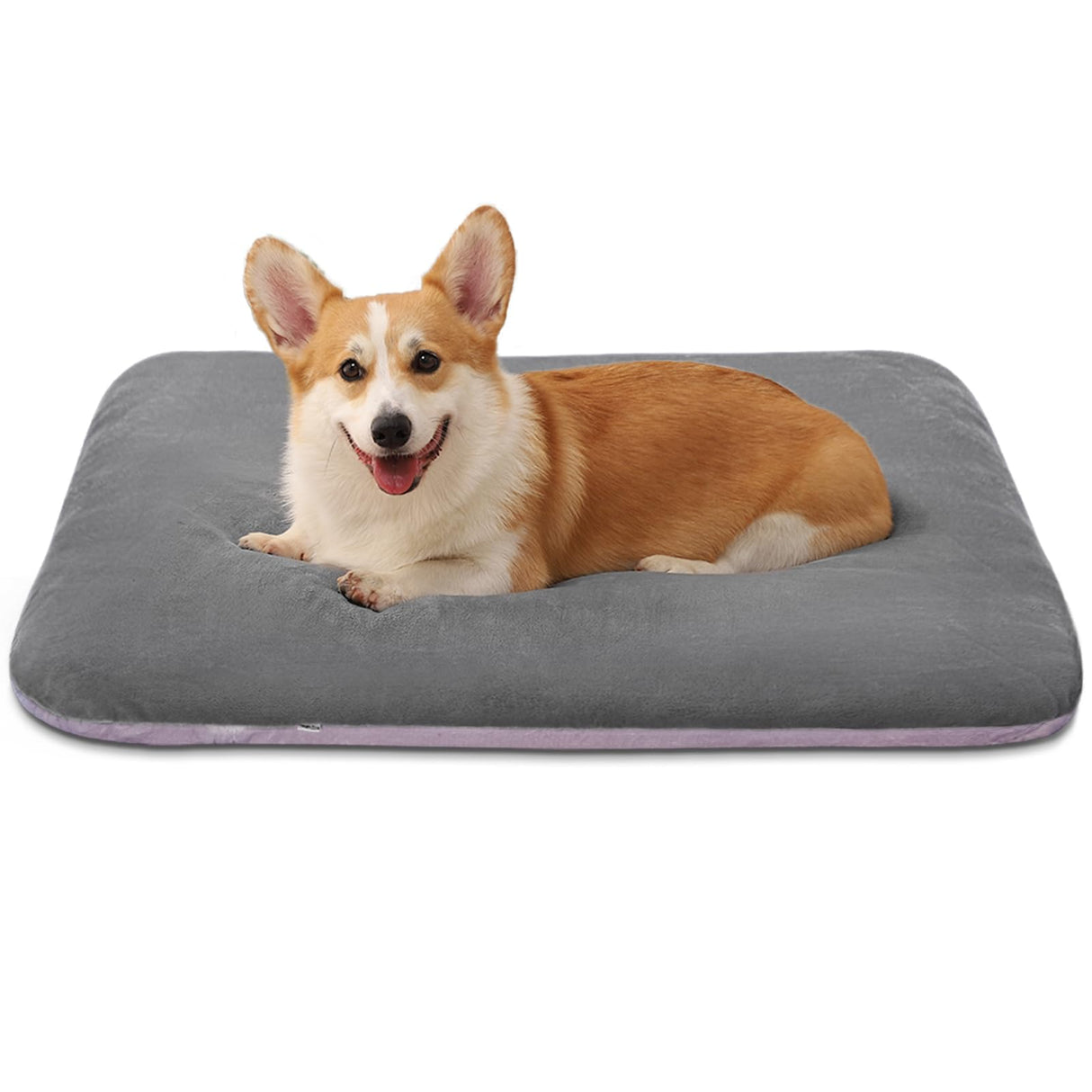Magic Dog Super Soft Medium Dog Bed, 32 Inches Orthopedic Foam Pet Beds with Anti Slip Bottom, Dog Sleeping Mattress with Removable and Washable Cover, Grey M,32'' X 24'' X 3''