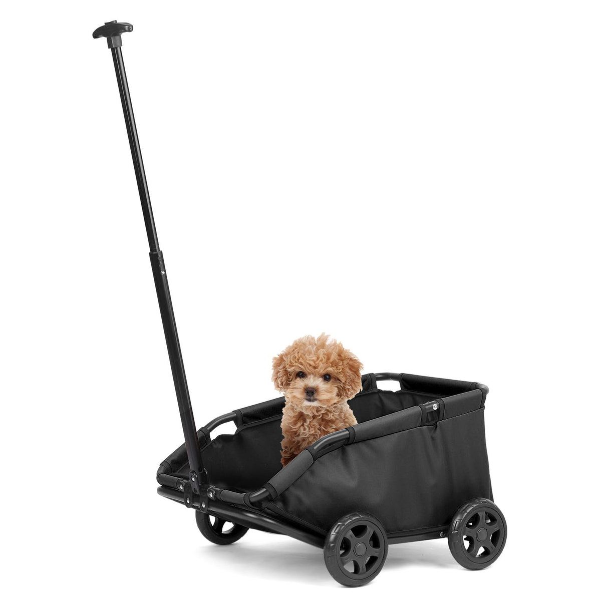 AESRAOU Mini Dog Strollers for Mini Pets, Foldable Multifunctional Shopping Carts with Extendable Pull Handle, Doggie Wagon Built-in Cushion and Safety Rope with Storage Bag (Black)