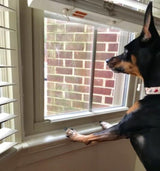 26.5 in. Long x 5.25 in. deep - Clear Cat and Dog Window Sill Protector - Durable Rigid Windowsill Cover Guards Against Pet Claws, Scratching, Drooling, Box of 1 Sill Protector with Mounting Coins