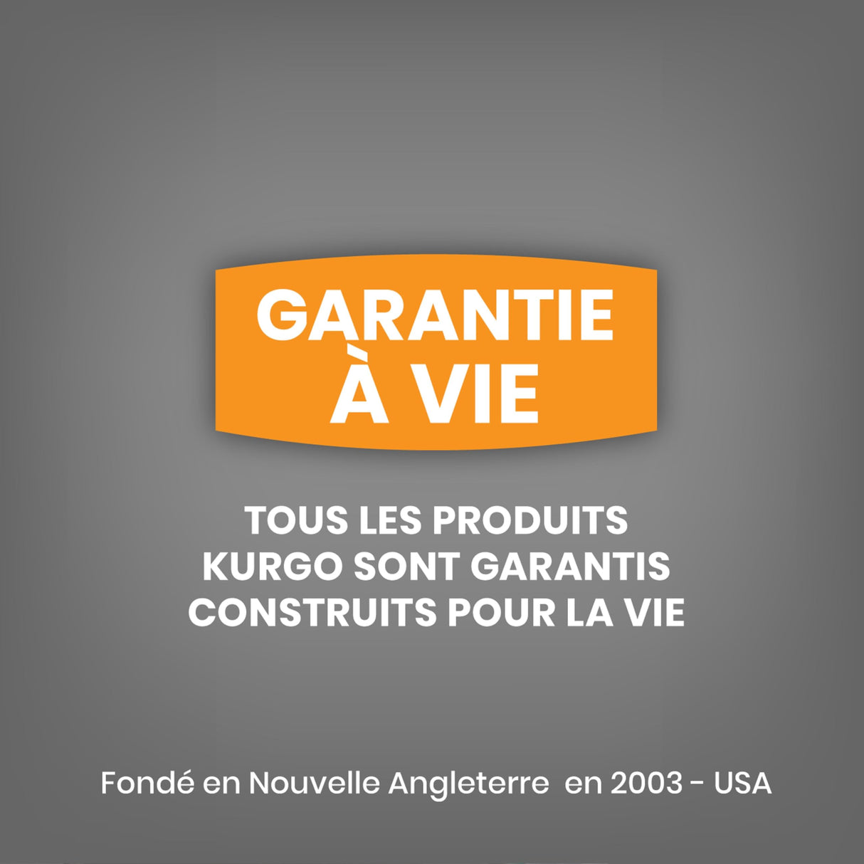 Kurgo Dog Booster Seat - Keeps Dogs Secure & Comfortable - Waterproof Exterior - Removable Washable Liner - Dog Car Seat with Harness Strap - Collapsible - Heather Style - Charcoal/Blue