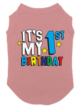 It's My 1st Birthday - First Dog Shirt (Mauve, Large)
