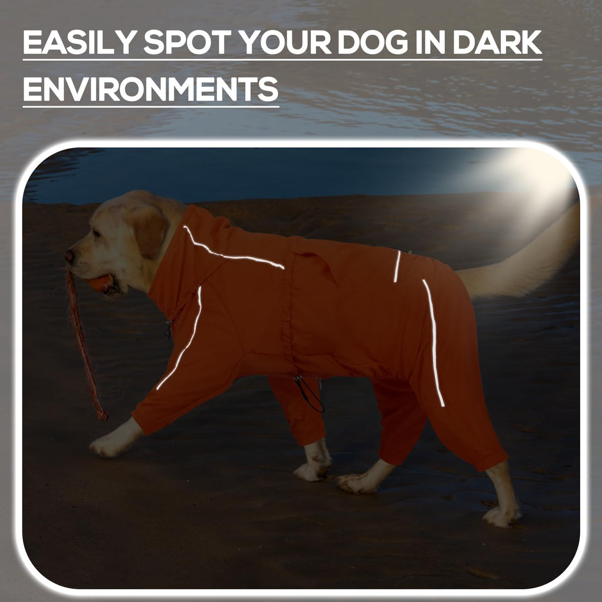 Dora Bridal Windproof Dog Jacket, Lightweight Water Resistant Dog Coat, Adjustable Four-Legged Reflective Dogs Raincoat, Thin Anti-Static Dogs Windbreaker for Hiking Waking(Orange, 2XL)