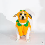 Pumpkin Dog Costume Pumpkin Pet Cosplay Outfits Hat Cute Novelty Pet Halloween Costume Party Favors Birthday Clothes Cats Dogs Orange (Pumpkin Dog Costume, Medium)