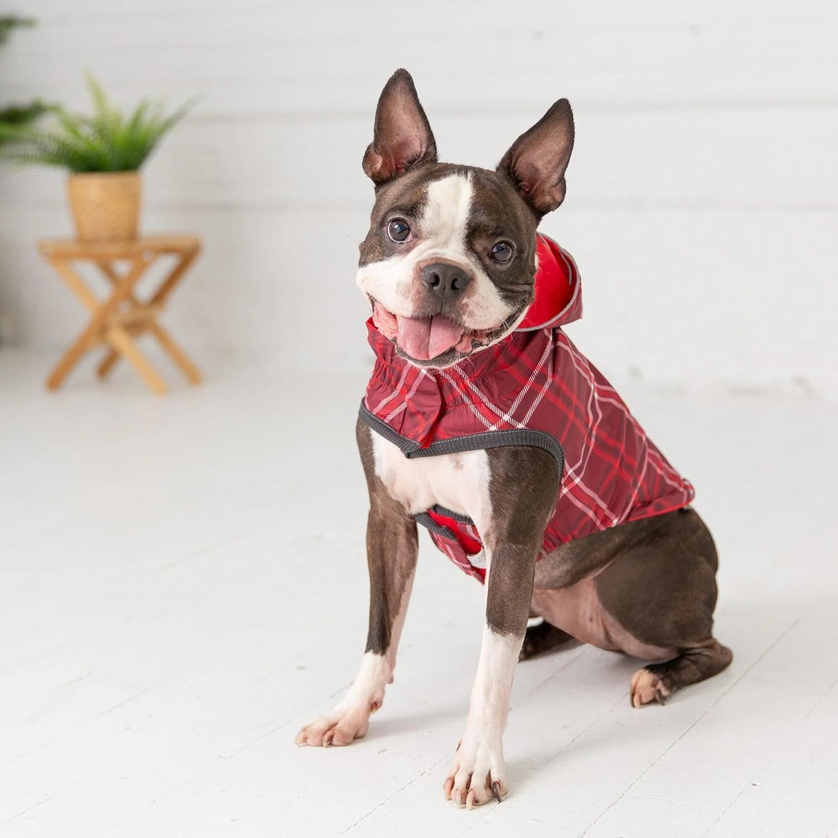 GF PET Reversible Elasto-Fit Raincoat for Dogs - Waterproof Lightweight Pet Rain Jacket - Reflective Safety Design - Comfortable, Easy On & Off - 4XL, Navy