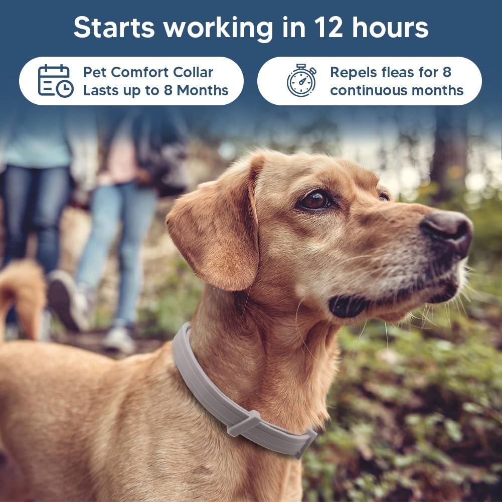 UDyoude Flea Collar for Dogs, Tick and Fleas Collar for Large Dog, Adjustable Dog Tick Collars for Medium & Large Breeds, Sturdy with 8 Months Protection-Pack of 2