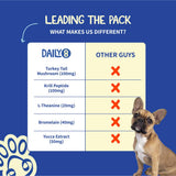 Fifth & Fido Dog Allergy Relief Formula – Natural Daily Food Topper Powder for Dog Itching Skin Relief, Immune & Gut Support with Turkey Tail, Quercetin & Probiotics