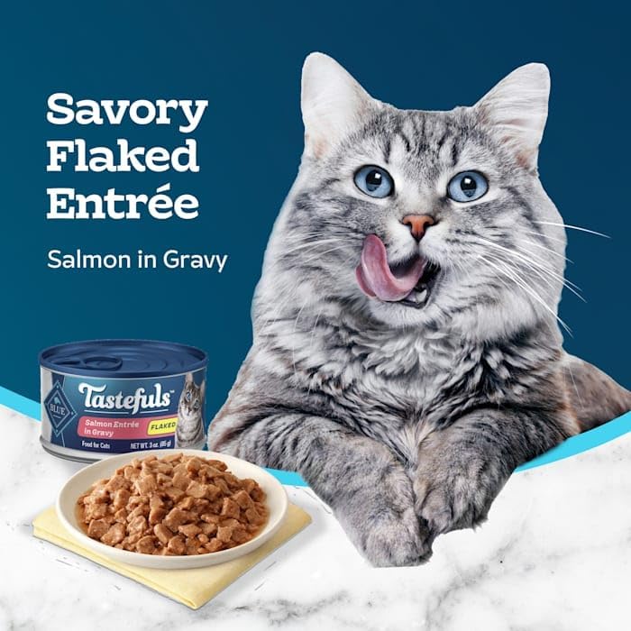 Blue Buffalo Tastefuls Wet Cat Food with Salmon, 3 oz., Case of 12