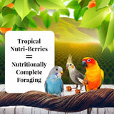 LAFEBER'S Sunny Orchard Nutri-Berries Pet Bird Food, Made with Non-GMO and Human-Grade Ingredients, for Cockatiels Conures Parakeets (Budgies) Lovebirds (Sunny Orchard 10 oz Pack of 2)