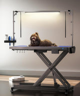 POLIMO LED Professional Electric Dog Grooming Table - 50" Heavy Duty Dog Grooming Station with LED, Button & Foot Control, Grooming Arm, Leveling Wheels, Anti-Slip Top & Tool Organizer (50", White)