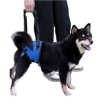Dog Lift Harness, Dog Sling for Large Dogs Hind Leg Support, Adjustable Soft Padded Rehab Harness for Weak Rear Legs Elderly Injured Disabled Arthritic Dogs